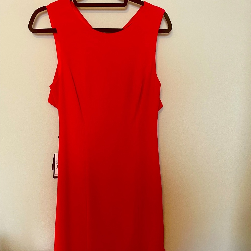 NWT Adrianna Papel dress